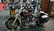 salon motocicleta 2010 (17)