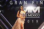 Miss Mexico (231)