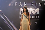 Miss Mexico (55)