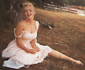 Marilyn Monroe (414)