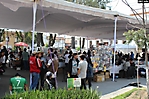 expo coleccionistas (12) 