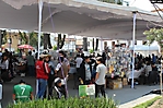 expo coleccionistas (13) 