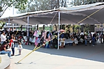 expo coleccionistas (1) 