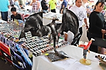 expo coleccionistas (39) 