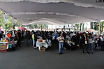 expo coleccionistas (4) 