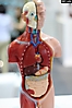expo medica 2024 (15) 