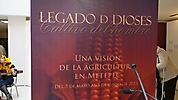 metepec 030513 (30)