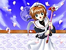 zacura card captor