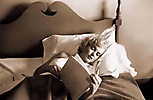 Marilyn Monroe (405)